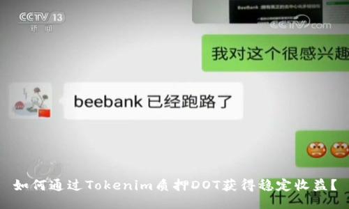 如何通过Tokenim质押DOT获得稳定收益？