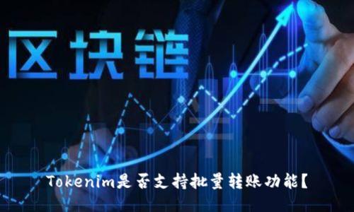 Tokenim是否支持批量转账功能？