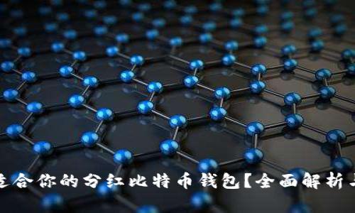 如何选择适合你的分红比特币钱包？全面解析与实用建议