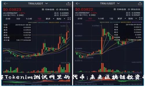 深入了解Tokenim测试网里的代币：未来区块链投资的可能性