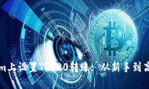 如何在Tokenim上设置TRC20转账: 从新手到高手的全面指南