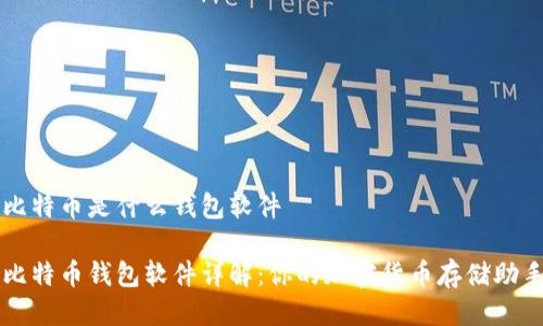 比特币是什么钱包软件

比特币钱包软件详解：你的加密货币存储助手