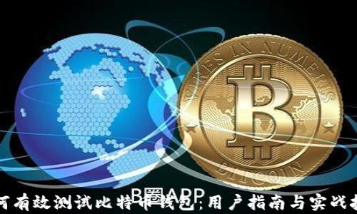
如何有效测试比特币钱包：用户指南与实战技巧