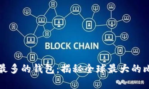 拥有比特币最多的钱包：揭秘全球最大的比特币持有者