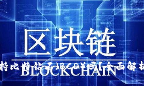 火币钱包支持比特钻石（BCD）吗？全面解析与未来展望