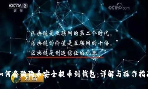 如何将狗狗币安全提币到钱包：详解与操作指南