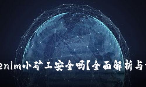 Tokenim小矿工安全吗？全面解析与评估