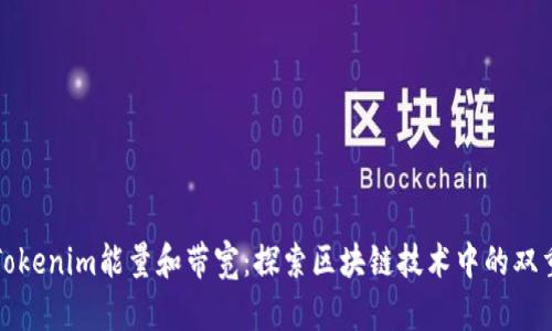 理解Tokenim能量和带宽：探索区块链技术中的双重价值