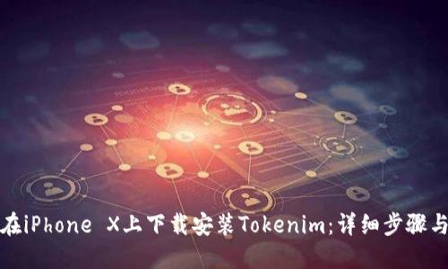 如何在iPhone X上下载安装Tokenim：详细步骤与技巧