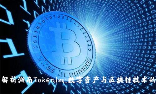 深度解析湖南Tokenim：数字资产与区块链技术的前景