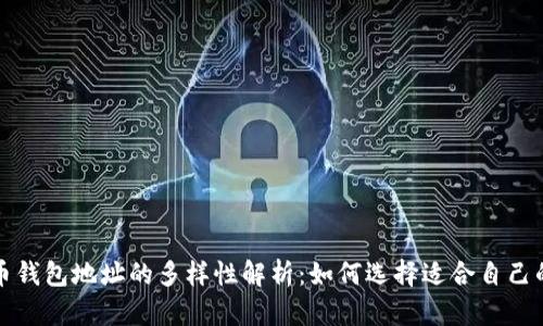 比特币钱包地址的多样性解析：如何选择适合自己的钱包