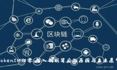 TokenIM归零：深入剖析背后的原因与未来展望