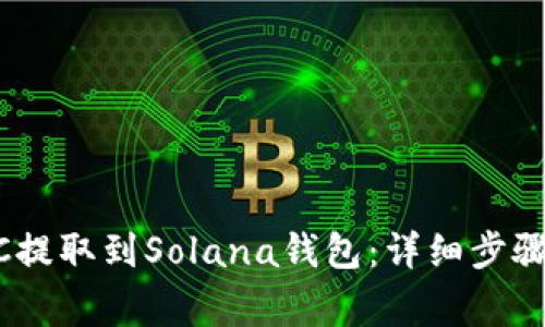 如何将USDC提取到Solana钱包：详细步骤与注意事项