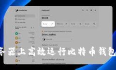 如何在服务器上高效运行比特币钱包：完整指南