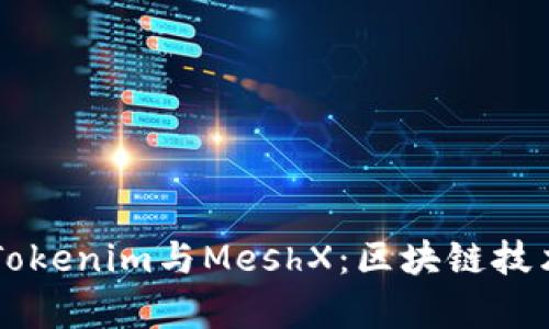 深入解析Tokenim与MeshX：区块链技术的双子星