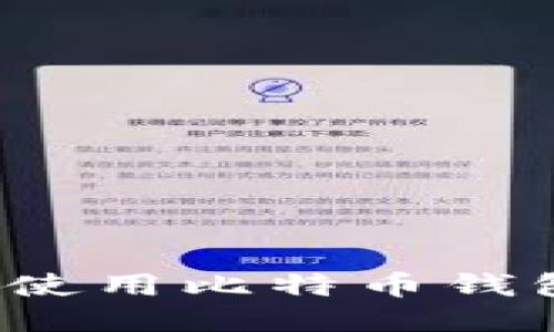 如何安全高效地使用比特币钱包？新手必读指南