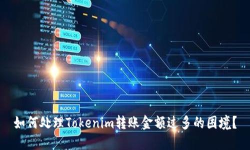 如何处理Tokenim转账金额过多的困境？