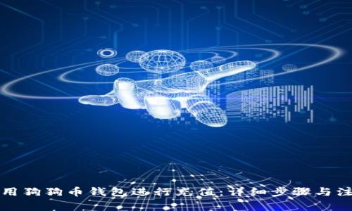 如何使用狗狗币钱包进行充值：详细步骤与注意事项