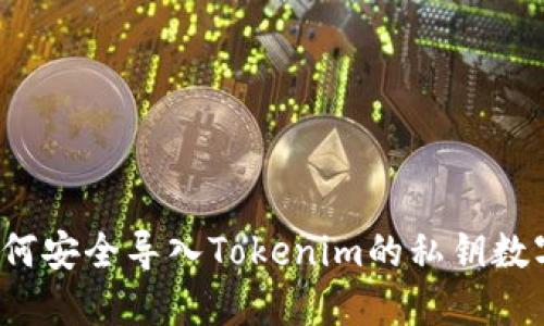 如何安全导入Tokenim的私钥数字？