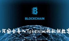 如何安全导入Tokenim的私钥数字？
