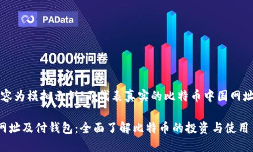 注意：以下内容为模拟示例，不代表真实的比特币中国网址或相关服务。

比特币中国网址及付钱包：全面了解比特币的投资与使用