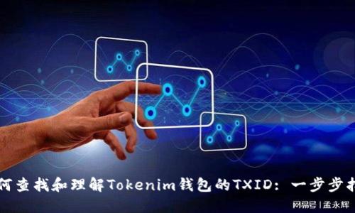 如何查找和理解Tokenim钱包的TXID: 一步步指南