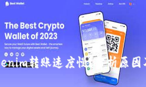 为什么Tokenim转账速度慢？分析原因及解决方案