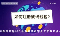 IM数字钱包APP：全面解读数字资产管理的未来
