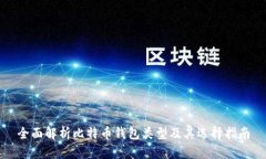 全面解析比特币钱包类型及其选择指南